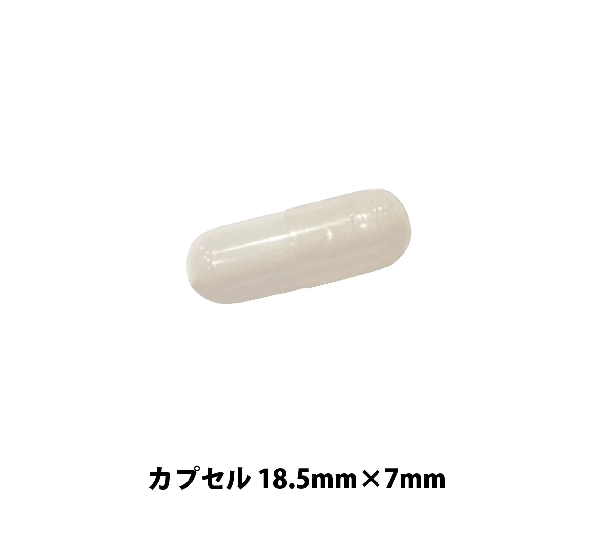 L-リジン 亜鉛 サプリメント